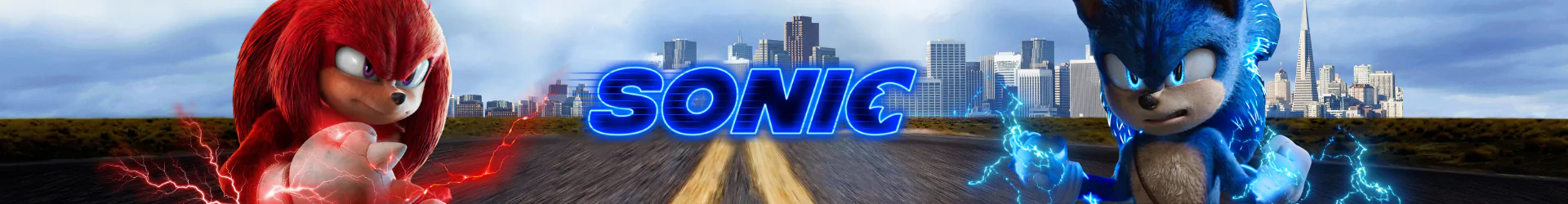 Sonic produkty banner