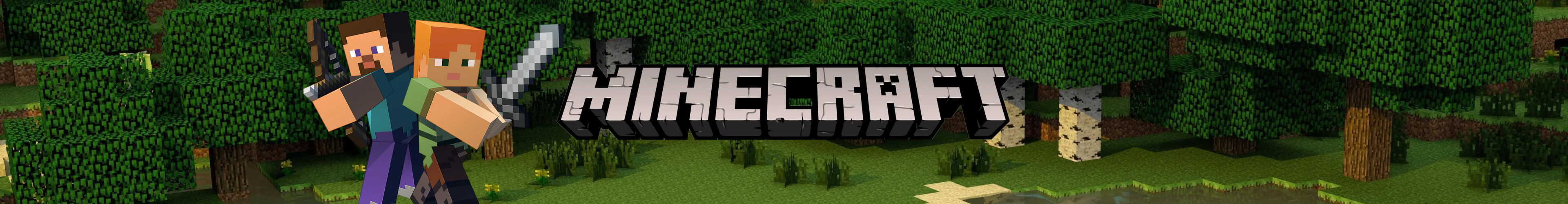 Minecraft produkty banner