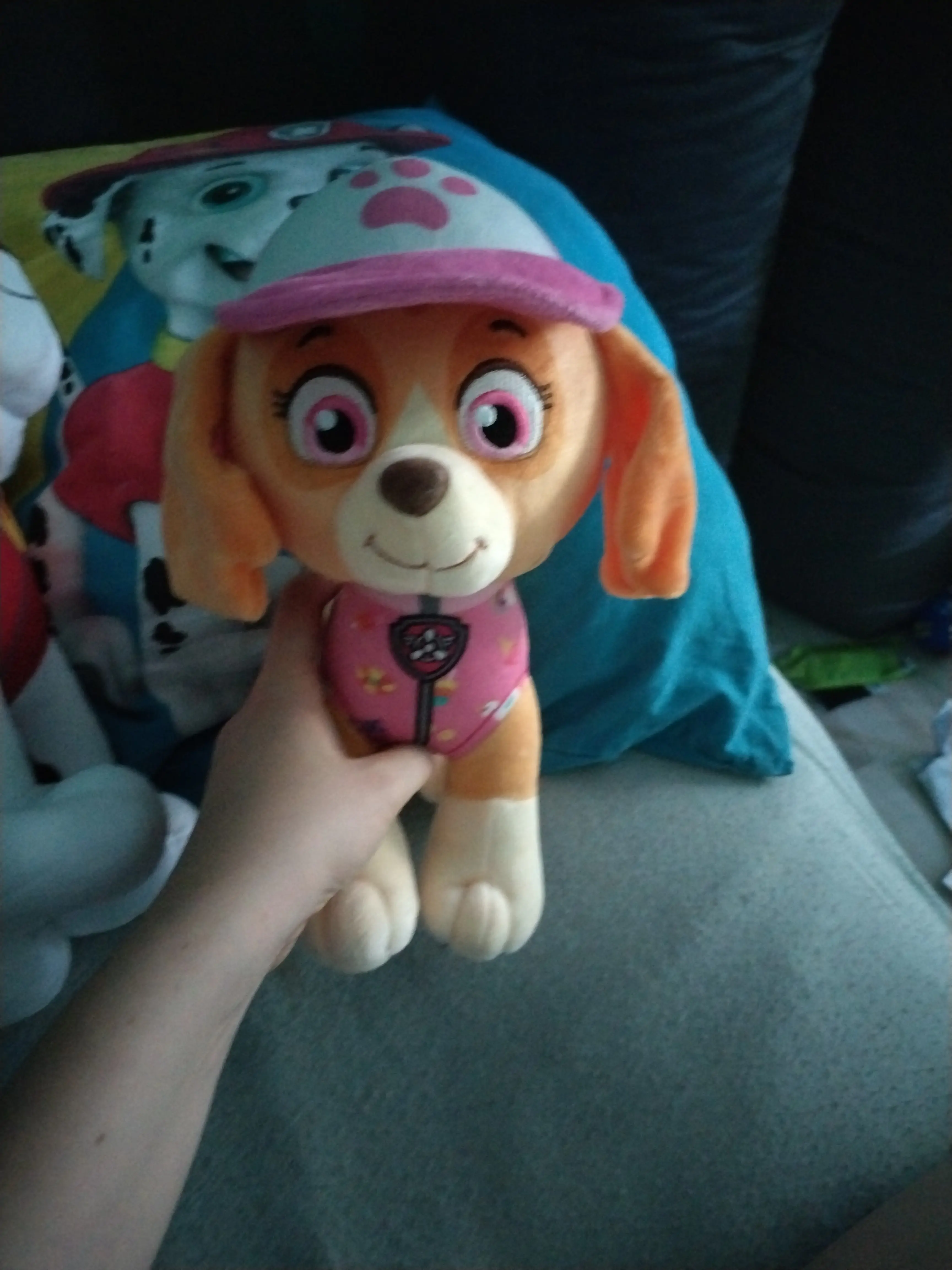 Paw Patrol Skye Letná plyšová hračka 27 cm produktová fotografia