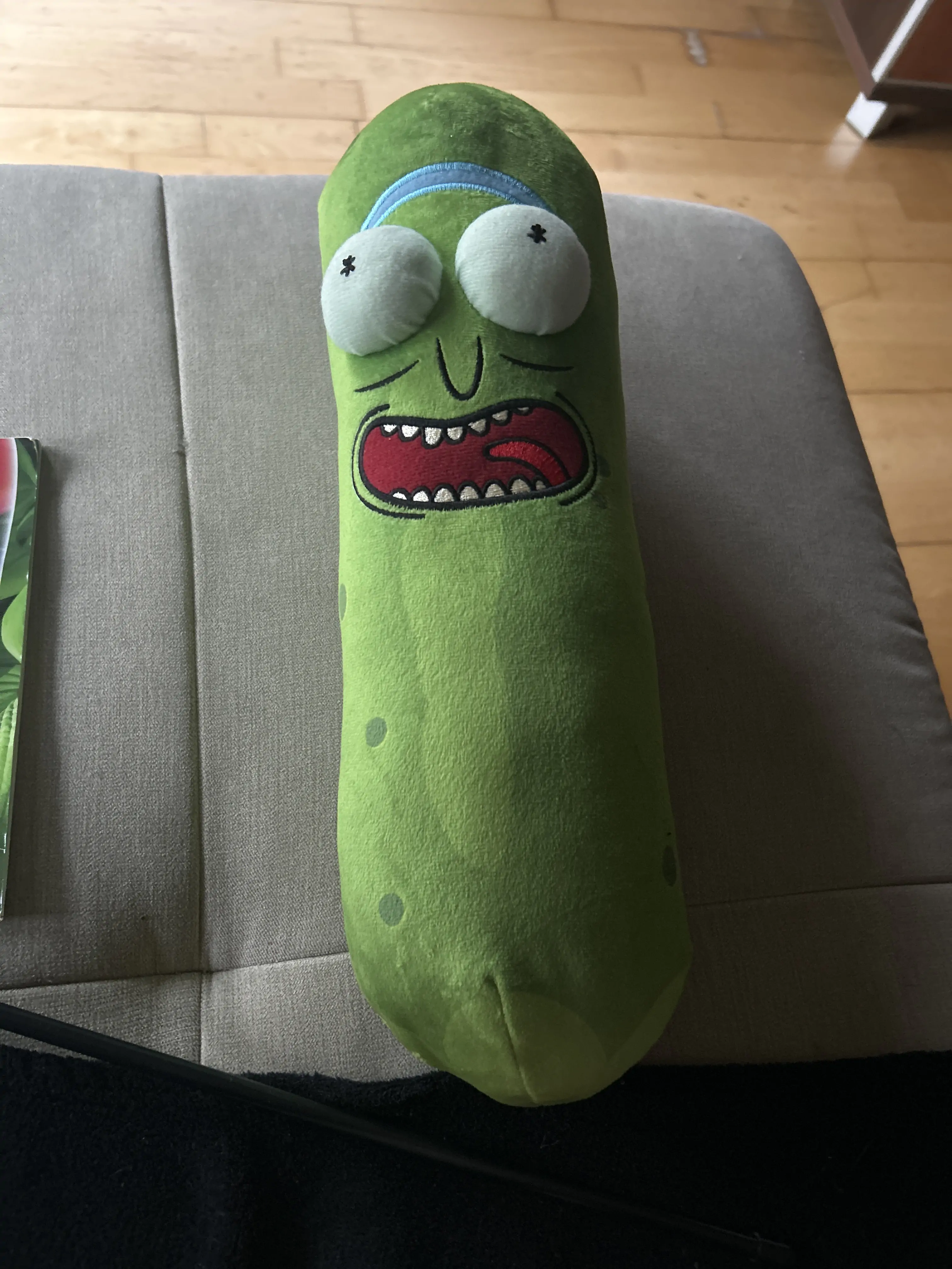 Rick and Morty Pickle Rick plyšová hračka 38 cm produktová fotografia