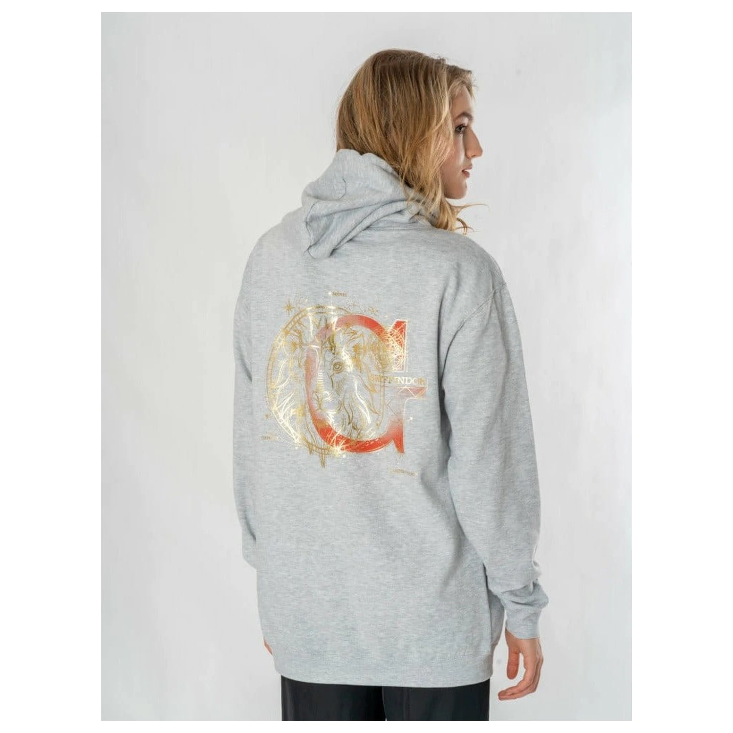 Harry Potter Hooded Sveter Gryffindor Zodiac produktová fotografia