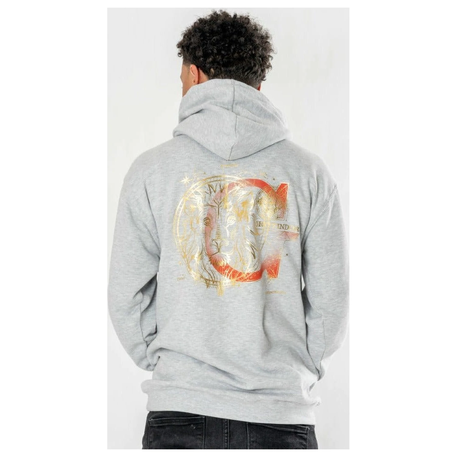 Harry Potter Hooded Sveter Gryffindor Zodiac produktová fotografia