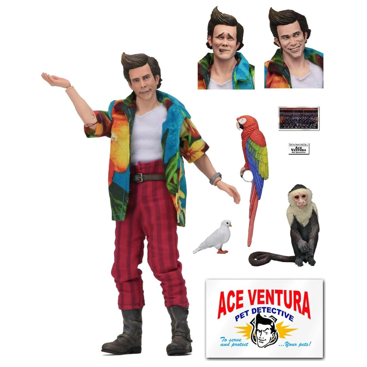 Ace Ventura Clothed Action Figure Ace Ventura 20 cm produktová fotografia