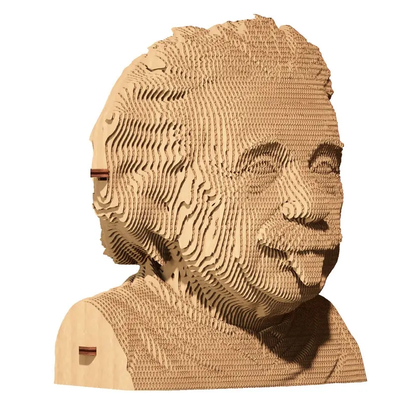 Albert Einstein cartonic 3D puzzle 172 dielikov produktová fotografia
