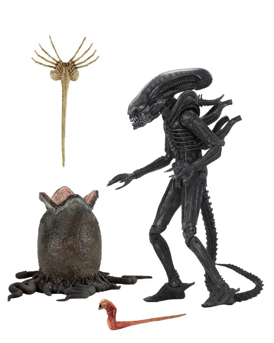 Alien 1979 Akčná figúrka Ultimate 40th Anniversary Big Chap 23 cm produktová fotografia