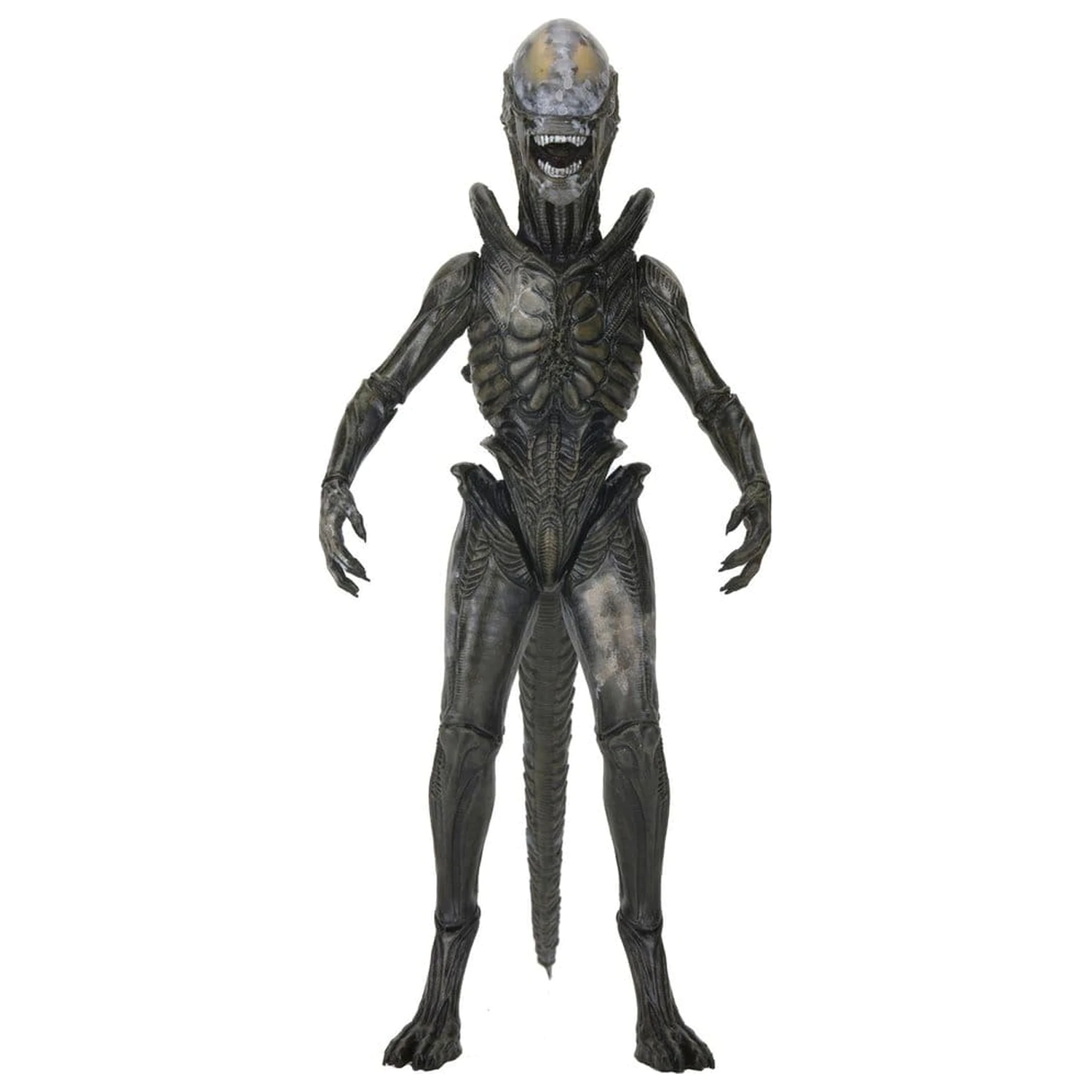 Alien: Earth Ultimate akčná figúrka Wendy's Xenomorph 18 cm produktová fotografia