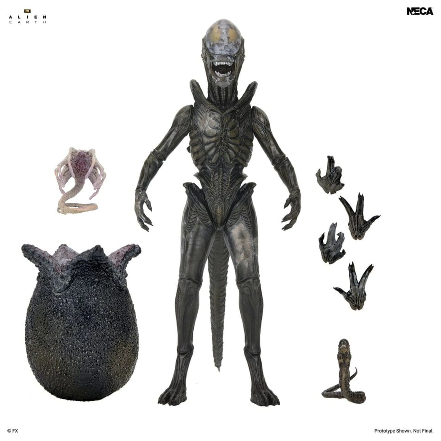 Alien: Earth Ultimate akčná figúrka Wendy's Xenomorph 18 cm produktová fotografia