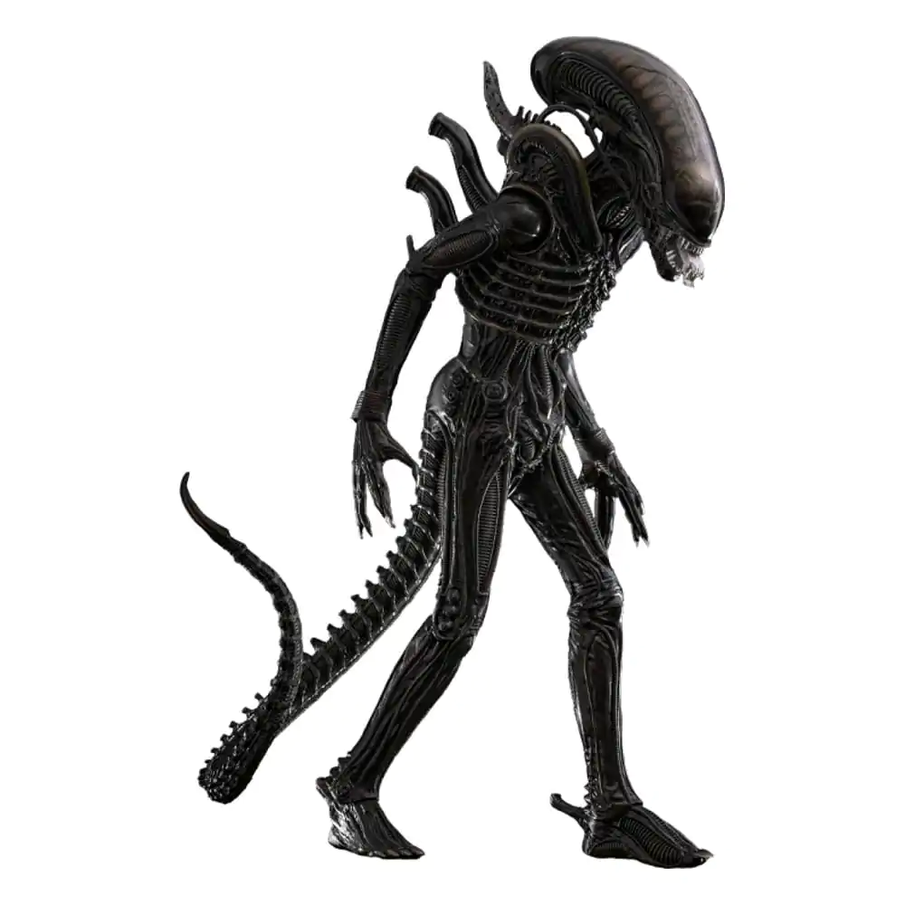Alien Movie Masterpiece akčná figúrka 1/6 Big Chap 36 cm produktová fotografia