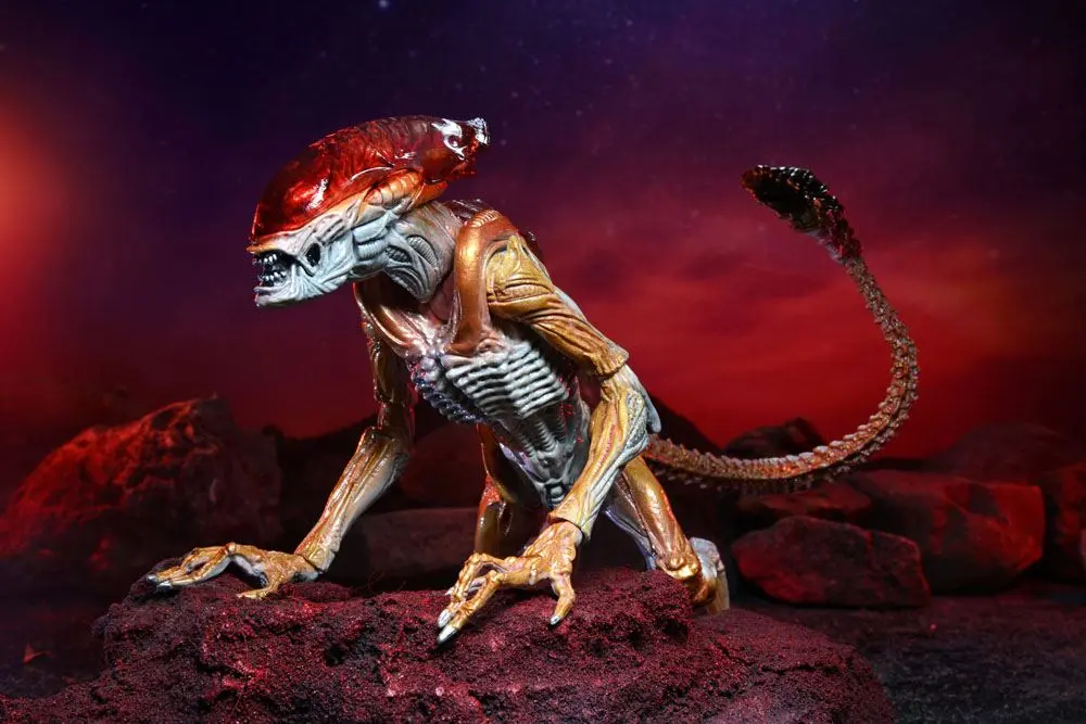 Figúrka Aliens Action Panther Alien (Kenner Tribute) 23 cm termékfotó