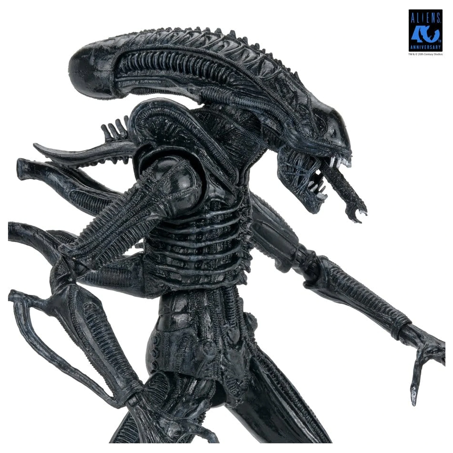 Aliens Ultimate Action Figure Warrior (1986) Xenomorph Black (40th Anniversary) 23 cm akčná figúrka produktová fotografia