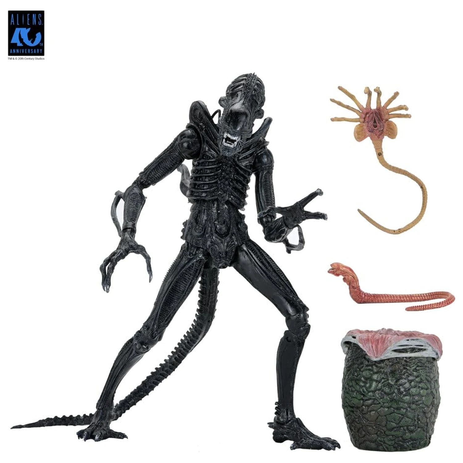 Aliens Ultimate Action Figure Warrior (1986) Xenomorph Black (40th Anniversary) 23 cm akčná figúrka produktová fotografia