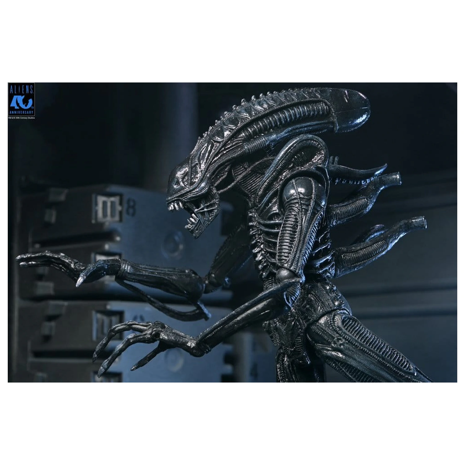 Aliens Ultimate Action Figure Warrior (1986) Xenomorph Black (40th Anniversary) 23 cm akčná figúrka produktová fotografia