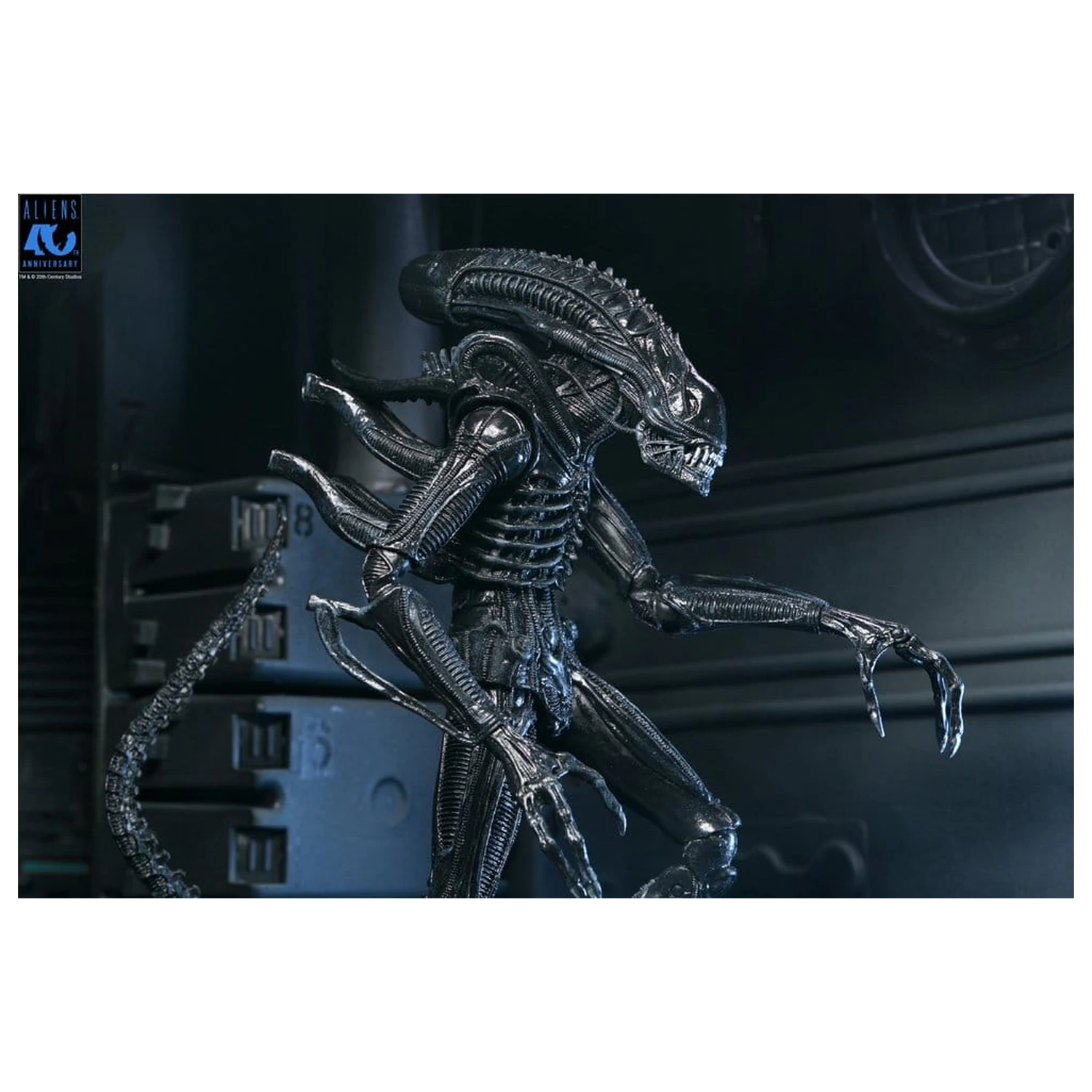 Aliens Ultimate Action Figure Warrior (1986) Xenomorph Black (40th Anniversary) 23 cm akčná figúrka produktová fotografia