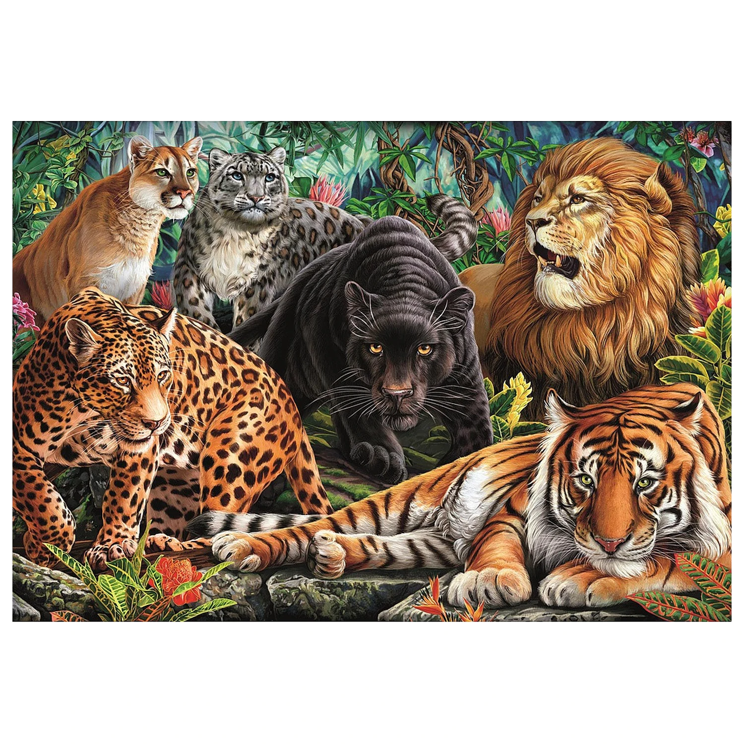 Animal Wild Cats 500-dielne puzzle produktová fotografia