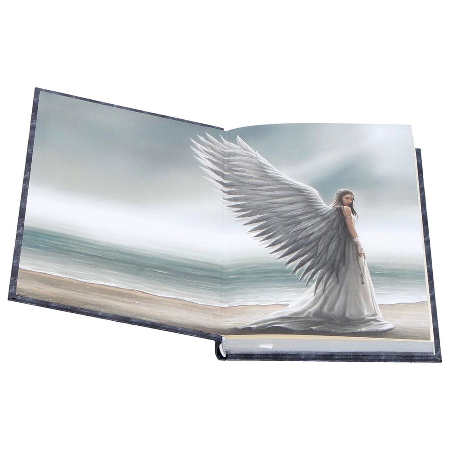 Anne Stokes Journal Spirit Guide A5 produktová fotografia