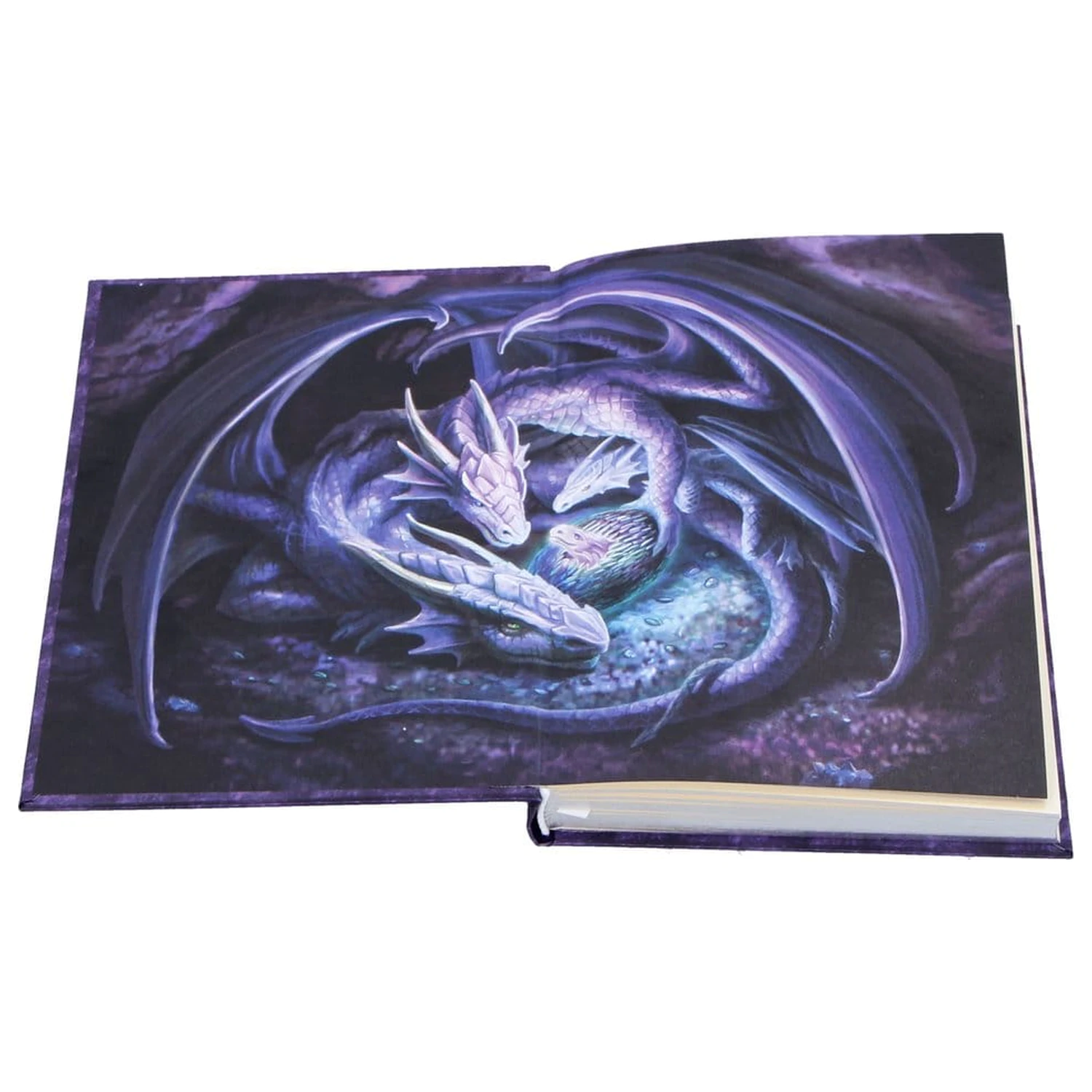 Anne Stokes Denník Welcome Hatchling A5 produktová fotografia