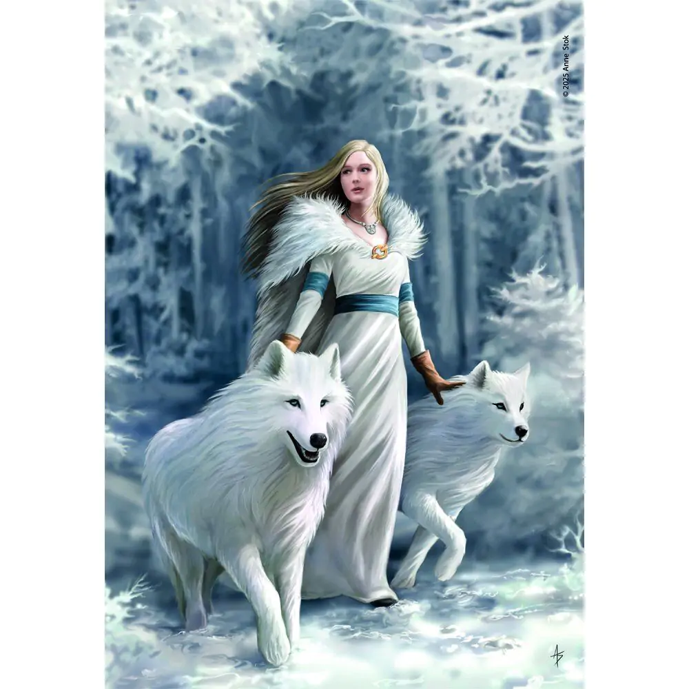 Anne Stokes Winter Guardians puzzle 1000ks produktová fotografia