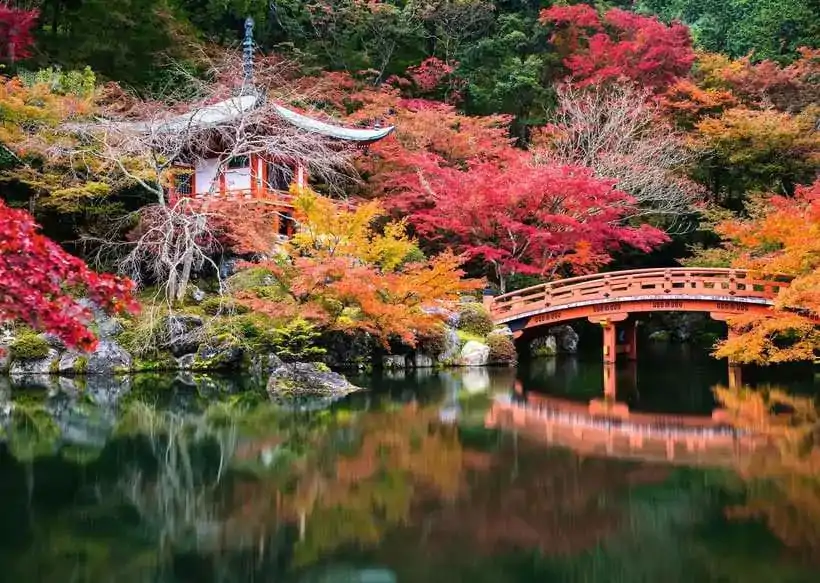 Krásne záhrady Puzzle Daigo-ji, Kyoto, Japan (1000 dielikov) produktová fotografia