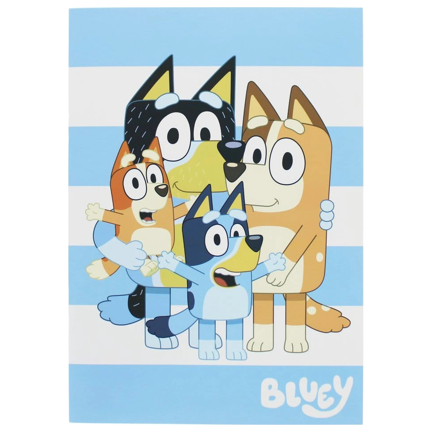 Bluey 11-dielna súprava písacích potrieb produktová fotografia
