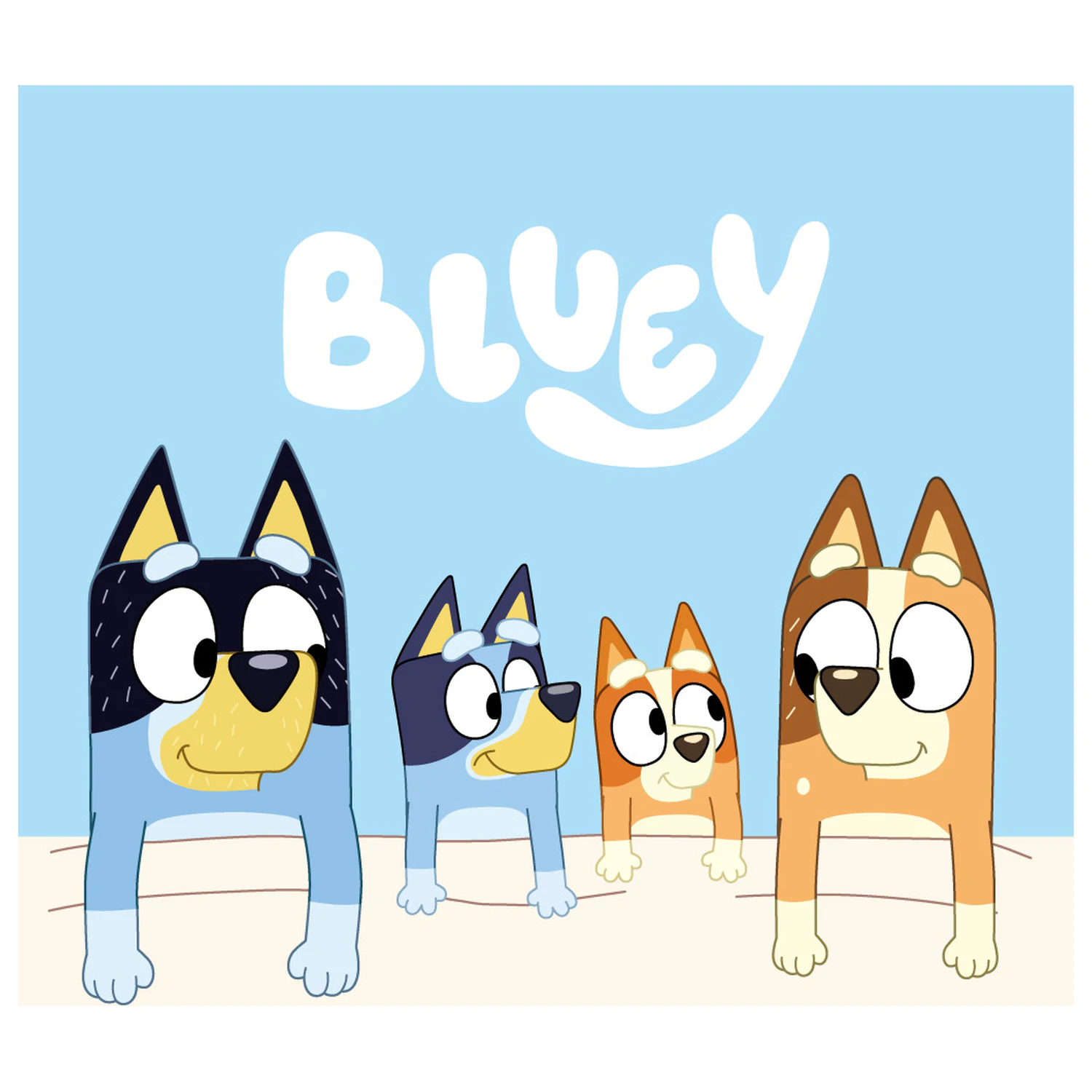 Bluey Cozy uterák na ruky, uterák na tvár, uterák produktová fotografia