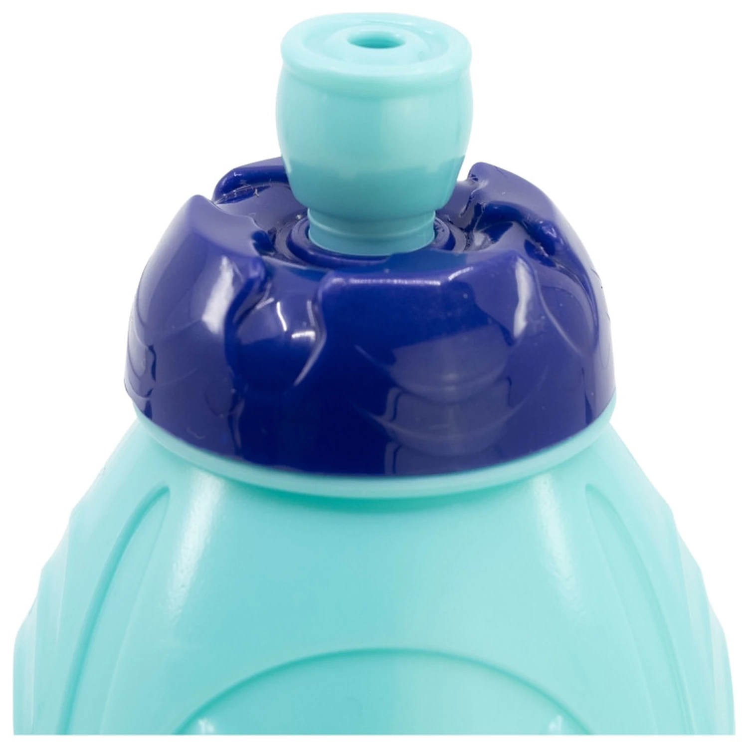 Bluey Leaves plastová športová fľaša 400 ml produktová fotografia