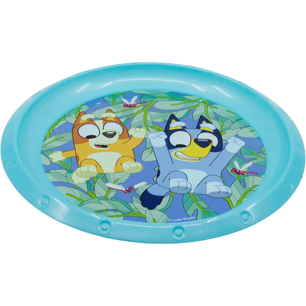 Bluey tanier produktová fotografia