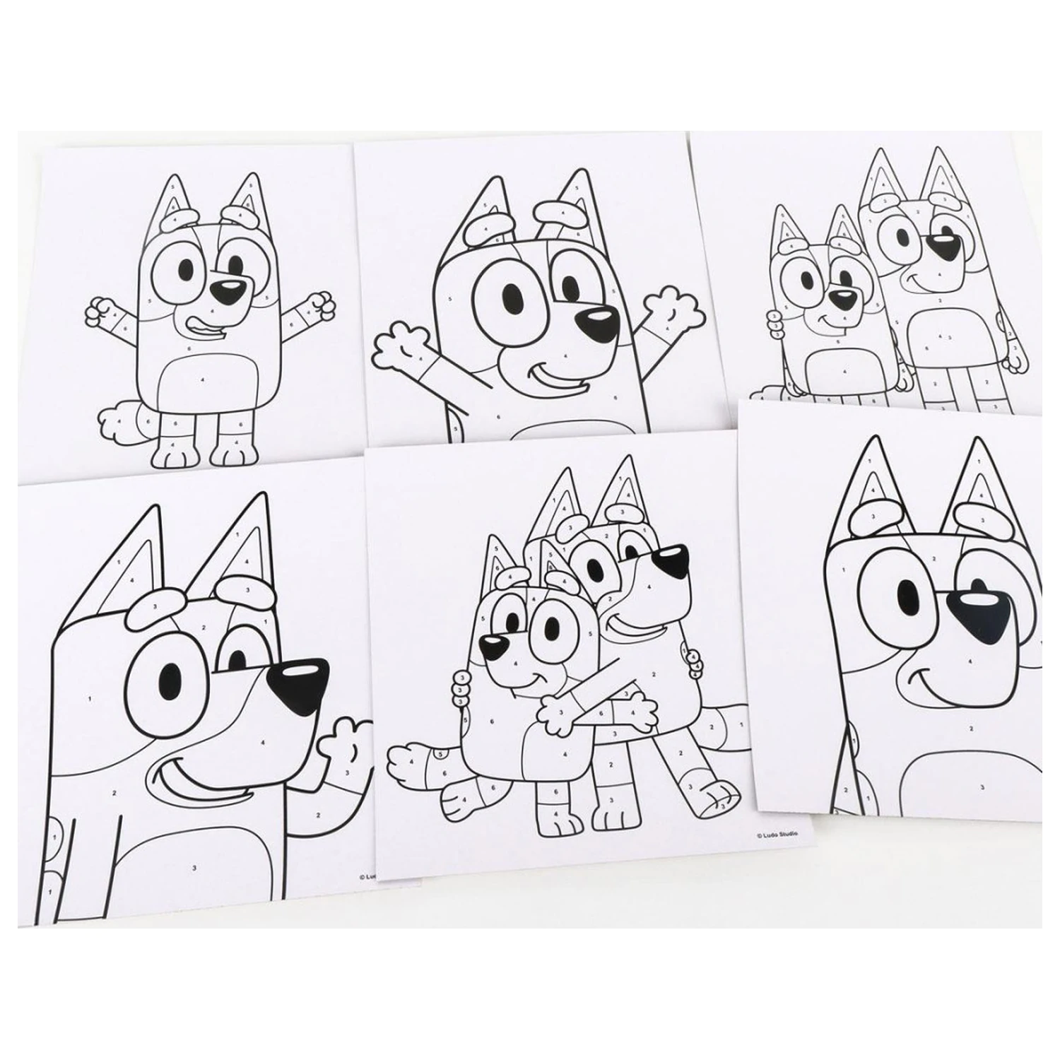 Bluey Súprava na vyfarbovanie To Wave produktová fotografia