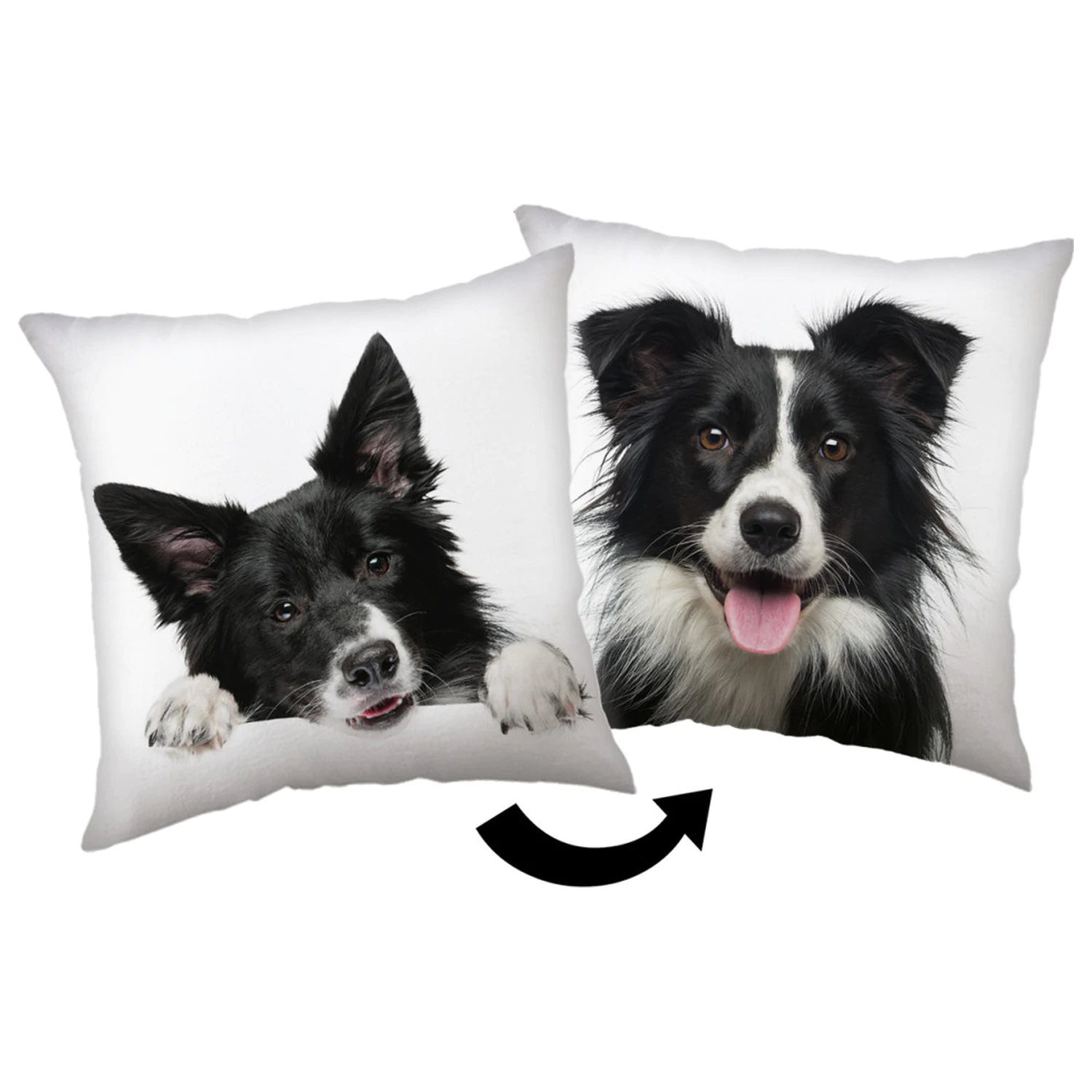 Border Collie vankúš produktová fotografia