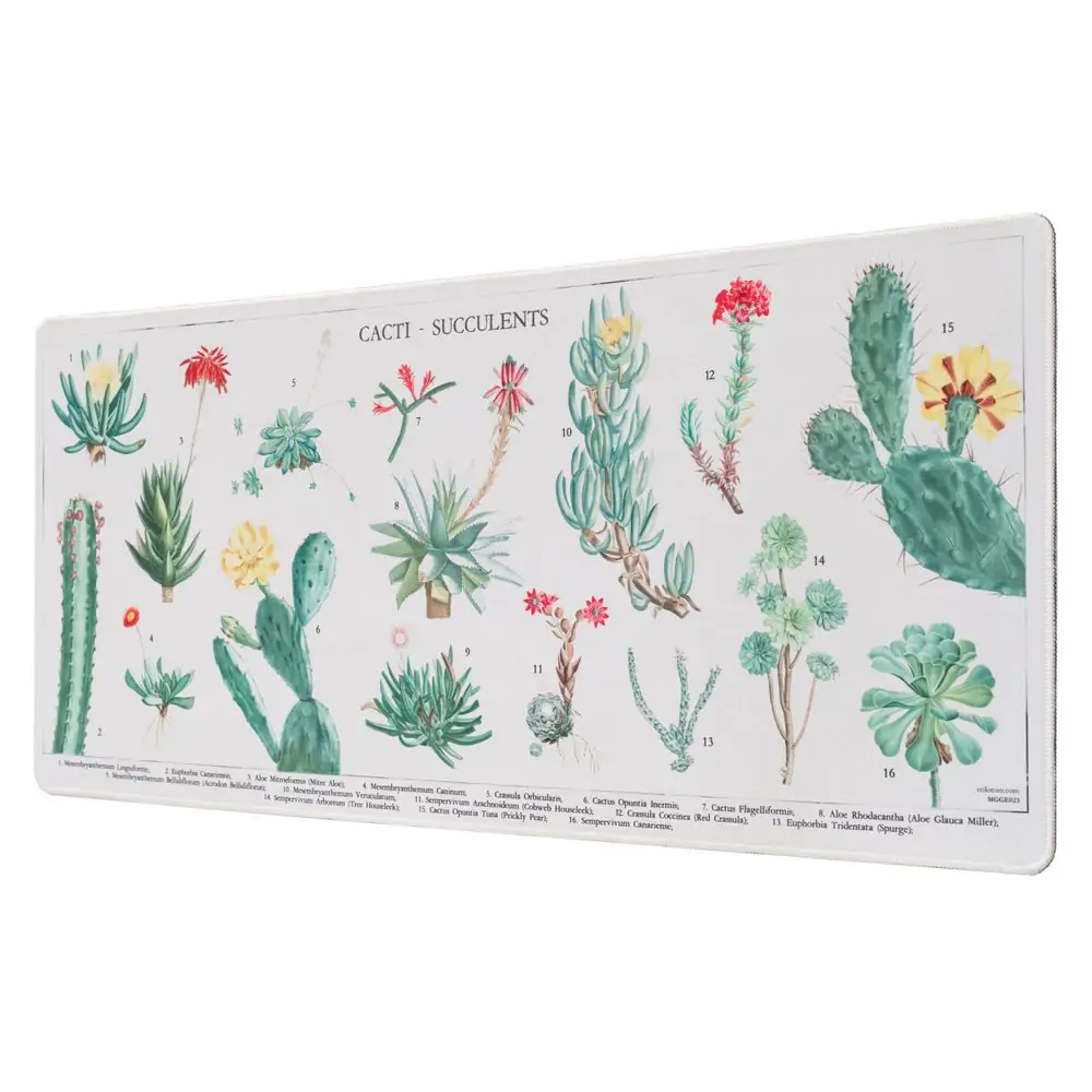 Herná podložka na stôl Botanical Cacti produktová fotografia
