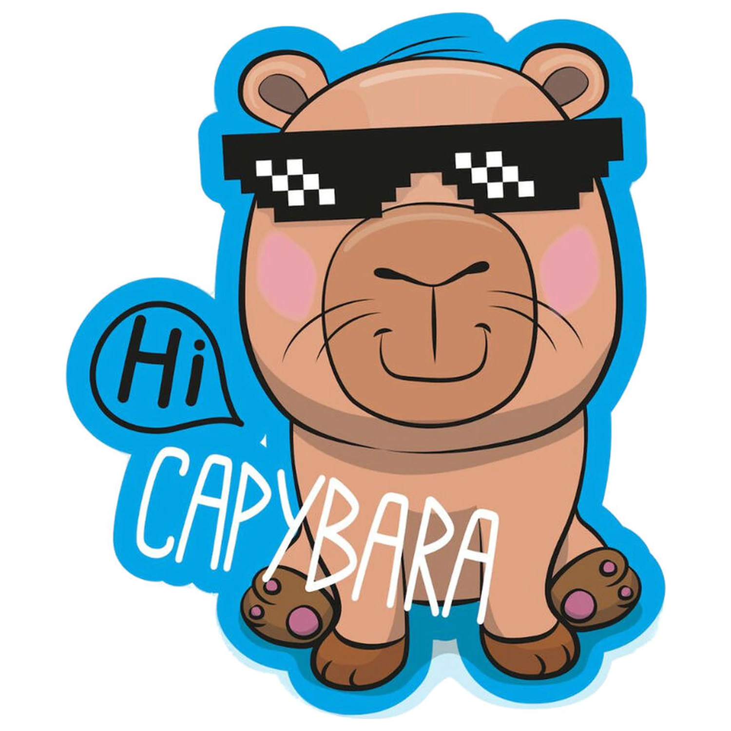 Capybara 3D vankúš produktová fotografia