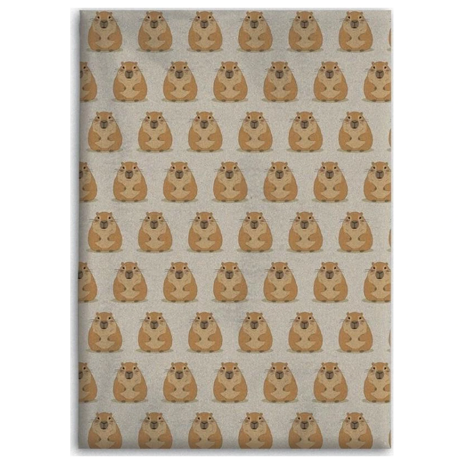 CAPYBARA Flannel Deka 110x150cm produktová fotografia