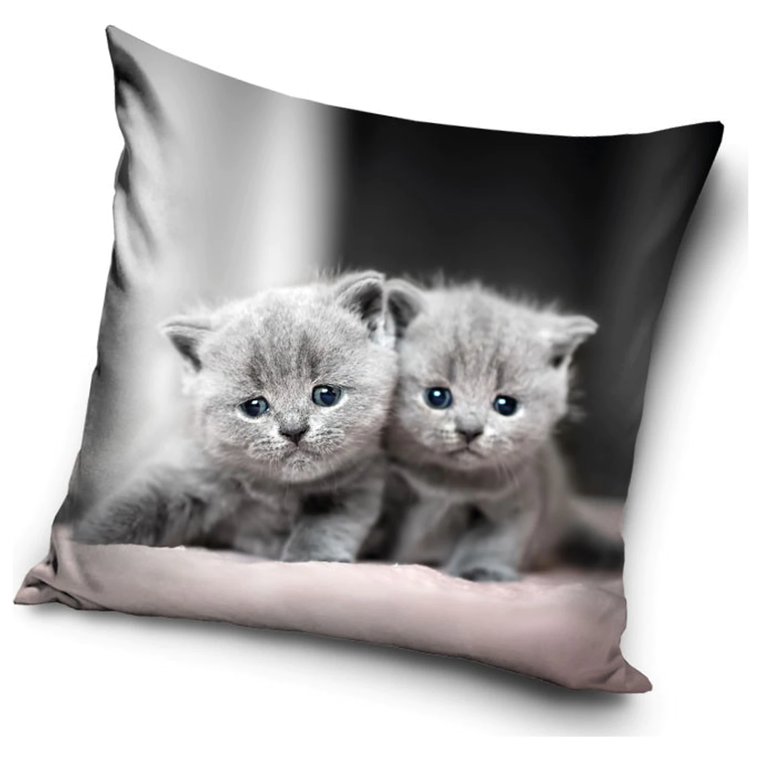 Kitty Twins obliečka na vankúš produktová fotografia