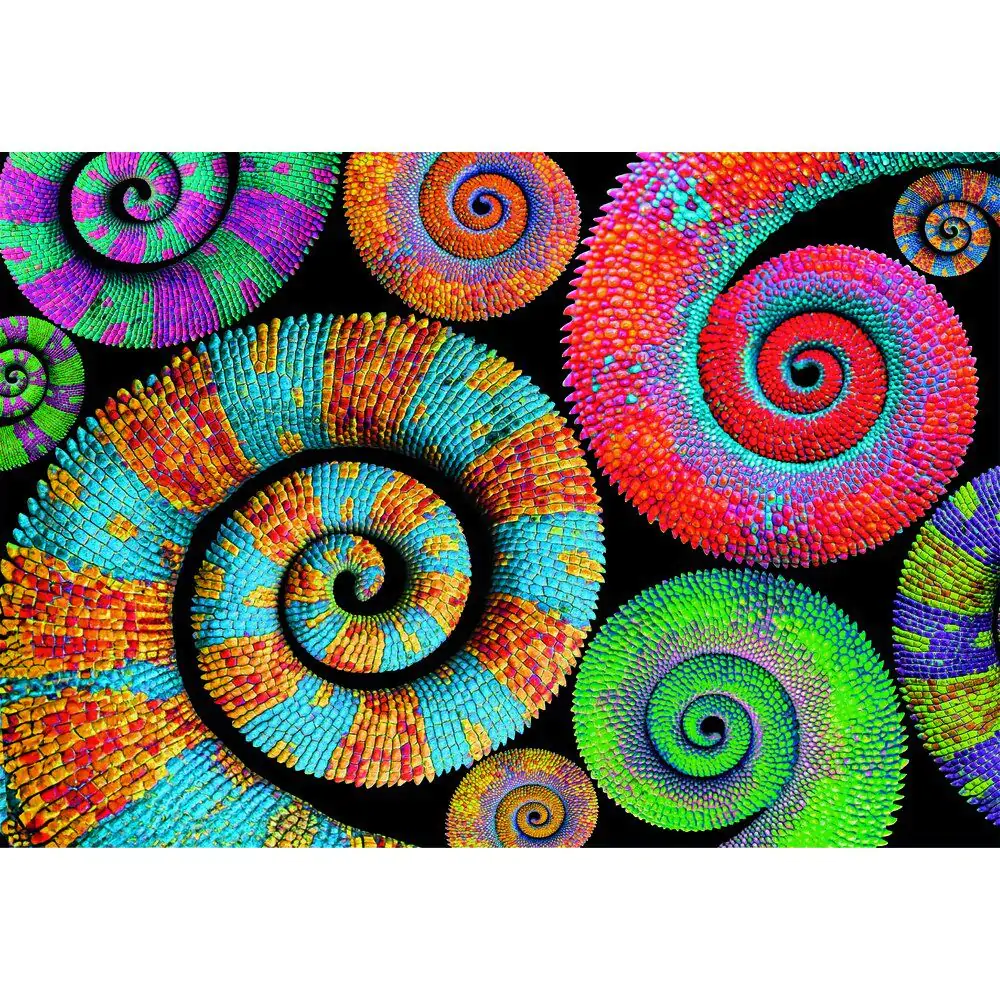 Color Boom Curly Tails puzzle 500ks produktová fotografia