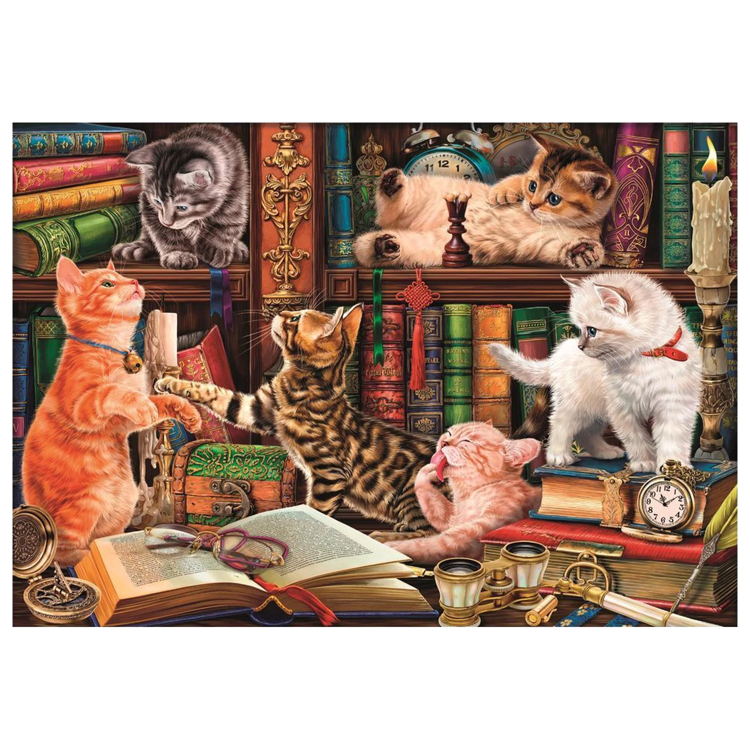 Curious Whiskers puzzle 1000 kusov produktová fotografia