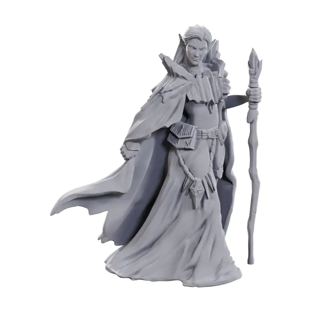 D&D Nolzur's Marvelous Miniatures 2-Pack 50th Anniversary Elves termékfotó