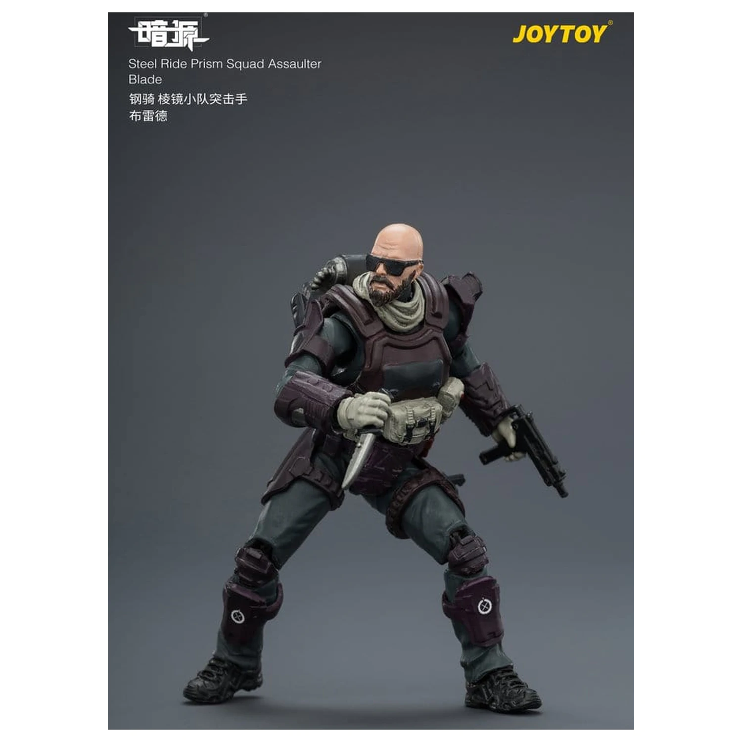 Dark Source Steel Ride Action Figure balenie Prism Squad 8 cm produktová fotografia
