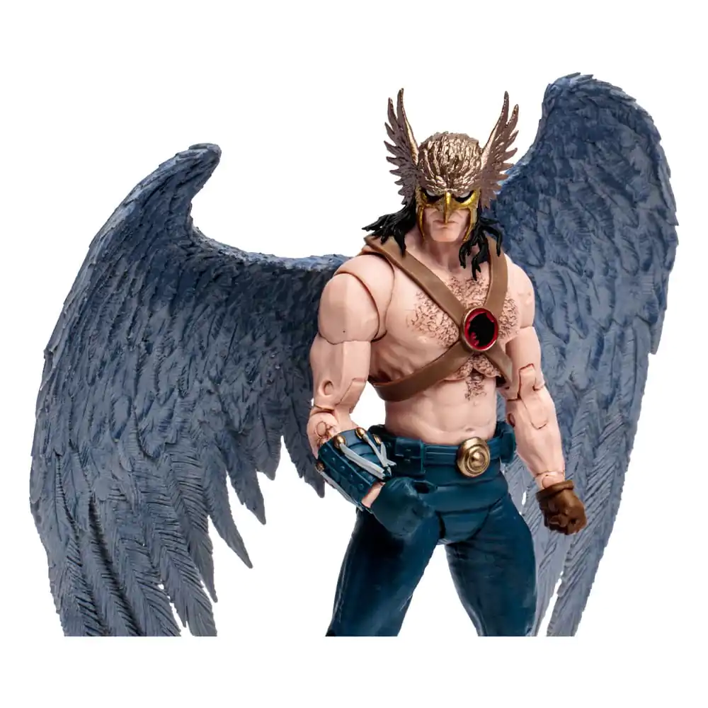 DC McFarlane Collector Edition Akčná figúrka Hawkman (Zero Hour) 18 cm produktová fotografia