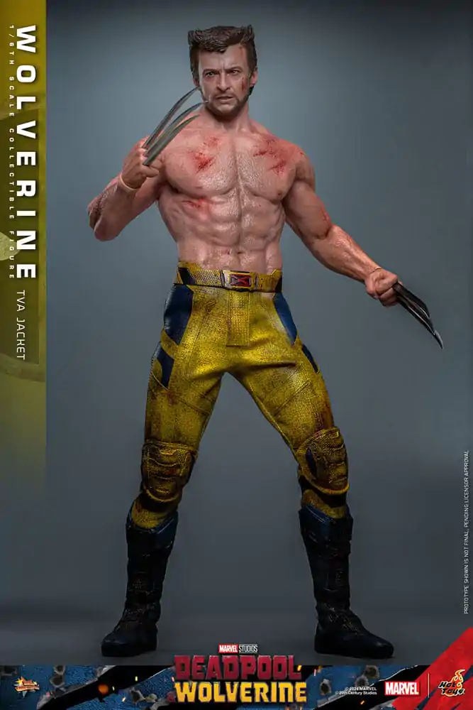 Deadpool & Wolverine Movie Masterpiece Akčná figúrka 1/6 Wolverine (TVA Jacket Version) 31 cm termékfotó