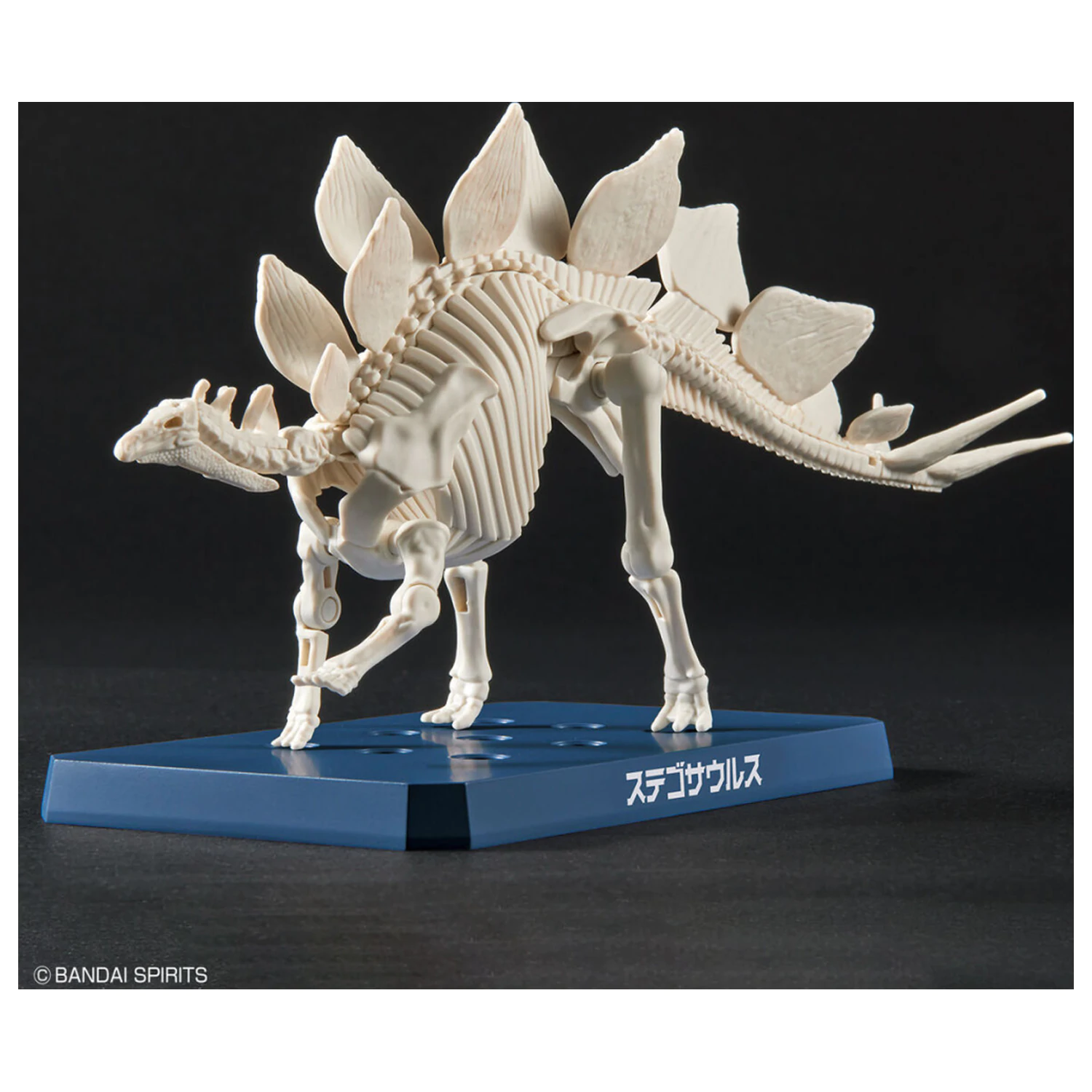 Dinosaur New Dinosaur Plastový Stegosaurus (Predbežný) model Kit produktová fotografia