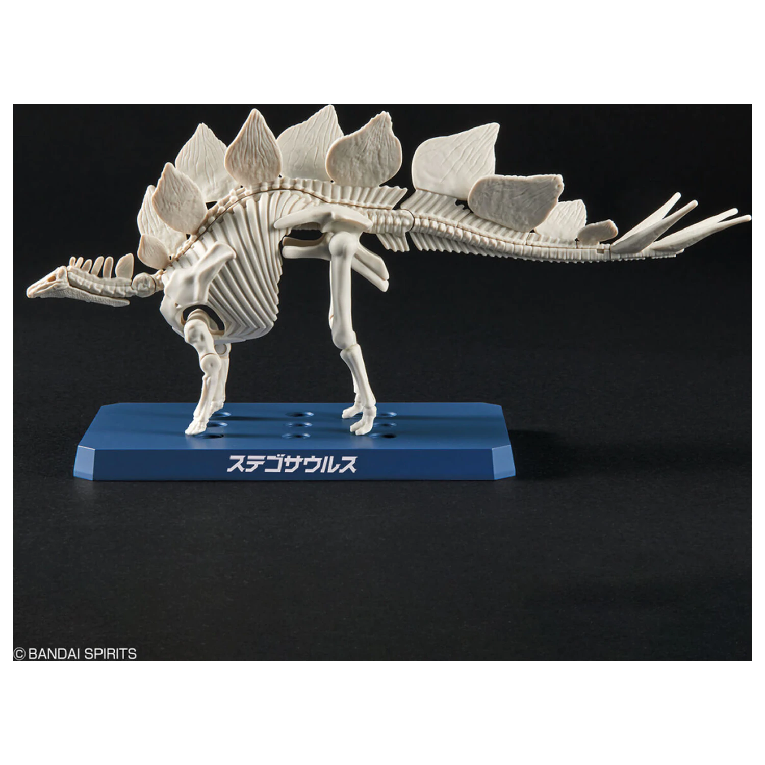 Dinosaur New Dinosaur Plastový Stegosaurus (Predbežný) model Kit produktová fotografia