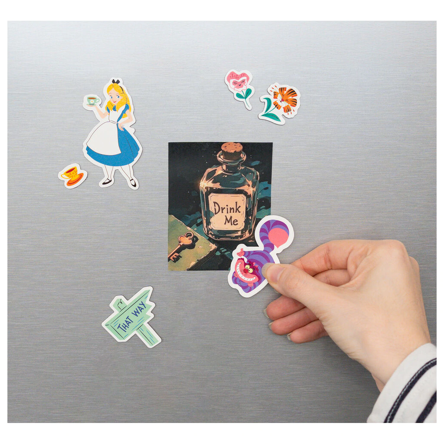 Disney Alice in Wonderland súprava vyrezávaných magnetiek produktová fotografia