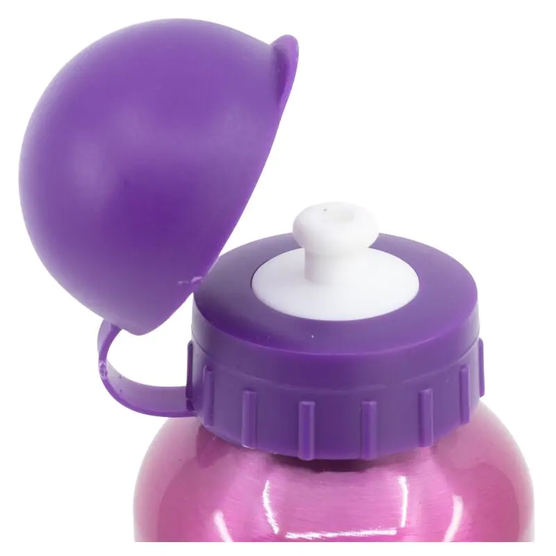 Disney Princess Bright & Bold hliníková fľaša 400ml produktová fotografia