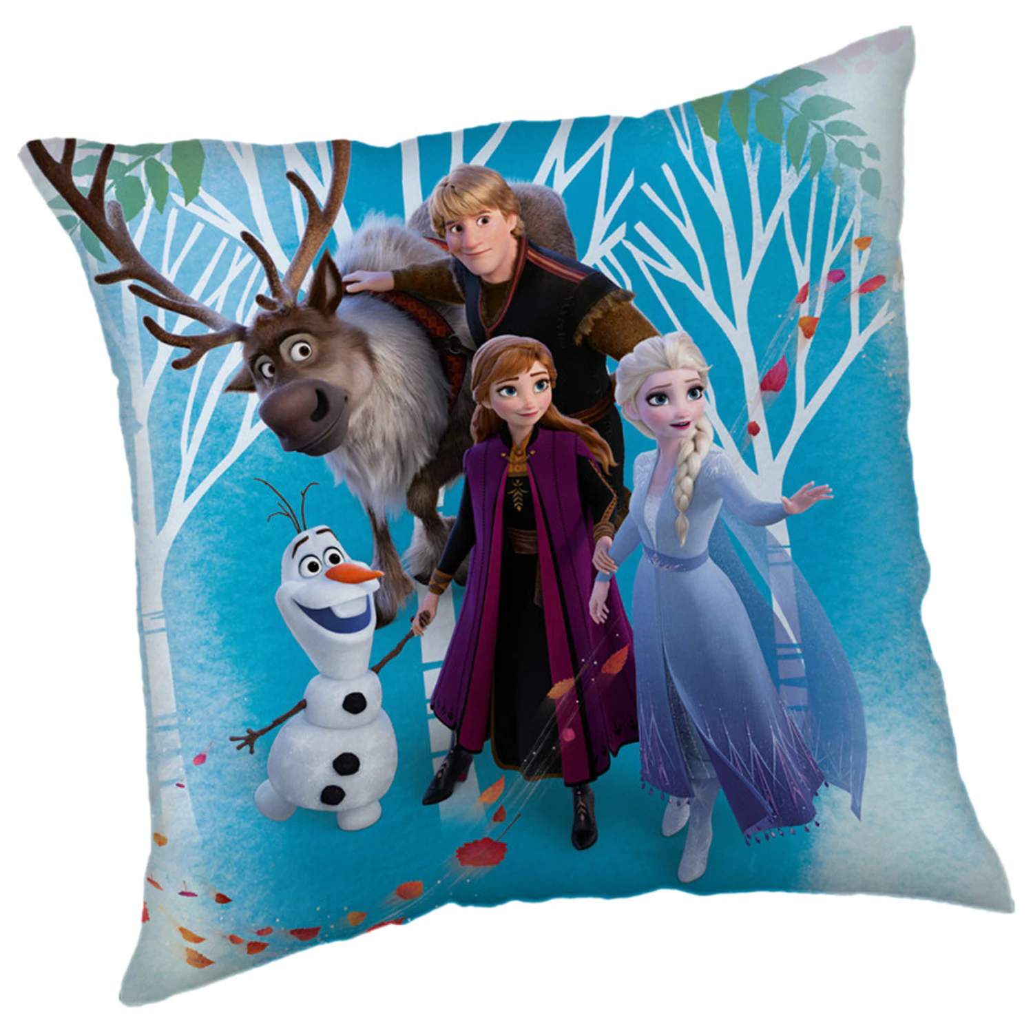 Disney Frozen Rodinná obliečka na vankúš produktová fotografia