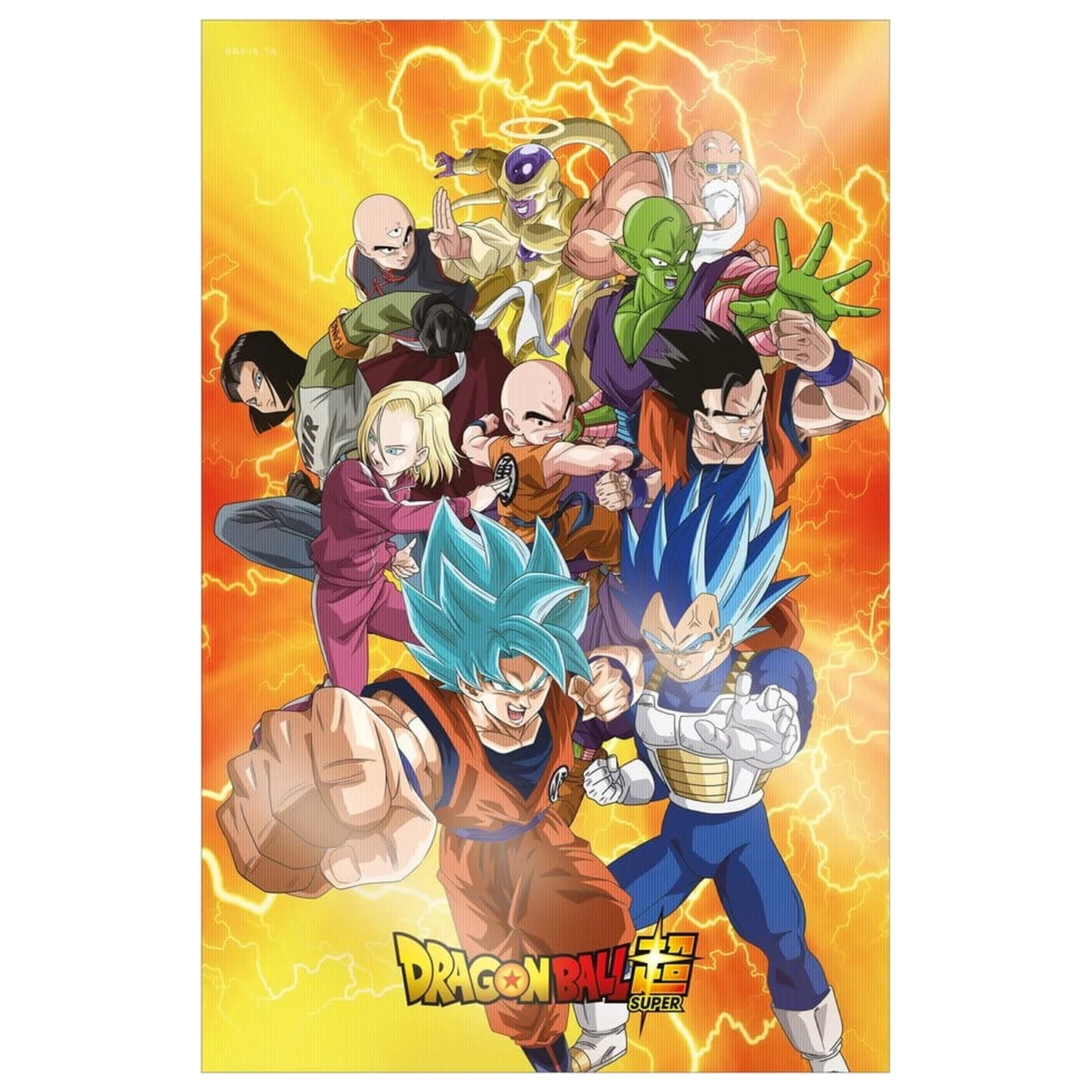 Dragon Ball Super 3D Poster Survival Heroes 38 x 58 cm produktová fotografia