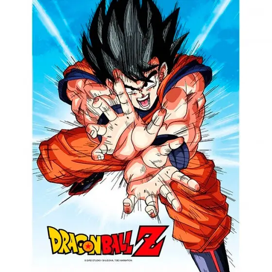 Dragon Ball Z Goku Kame üveg poszter 46x31 cm termékfotó