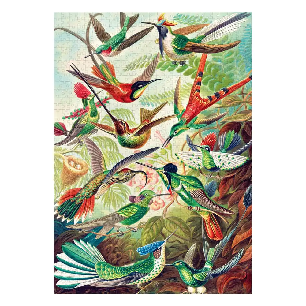 Ernst Haeckel Imagination Puzzle Hummingbirds/Kolibry (1000 kusov) termékfotó