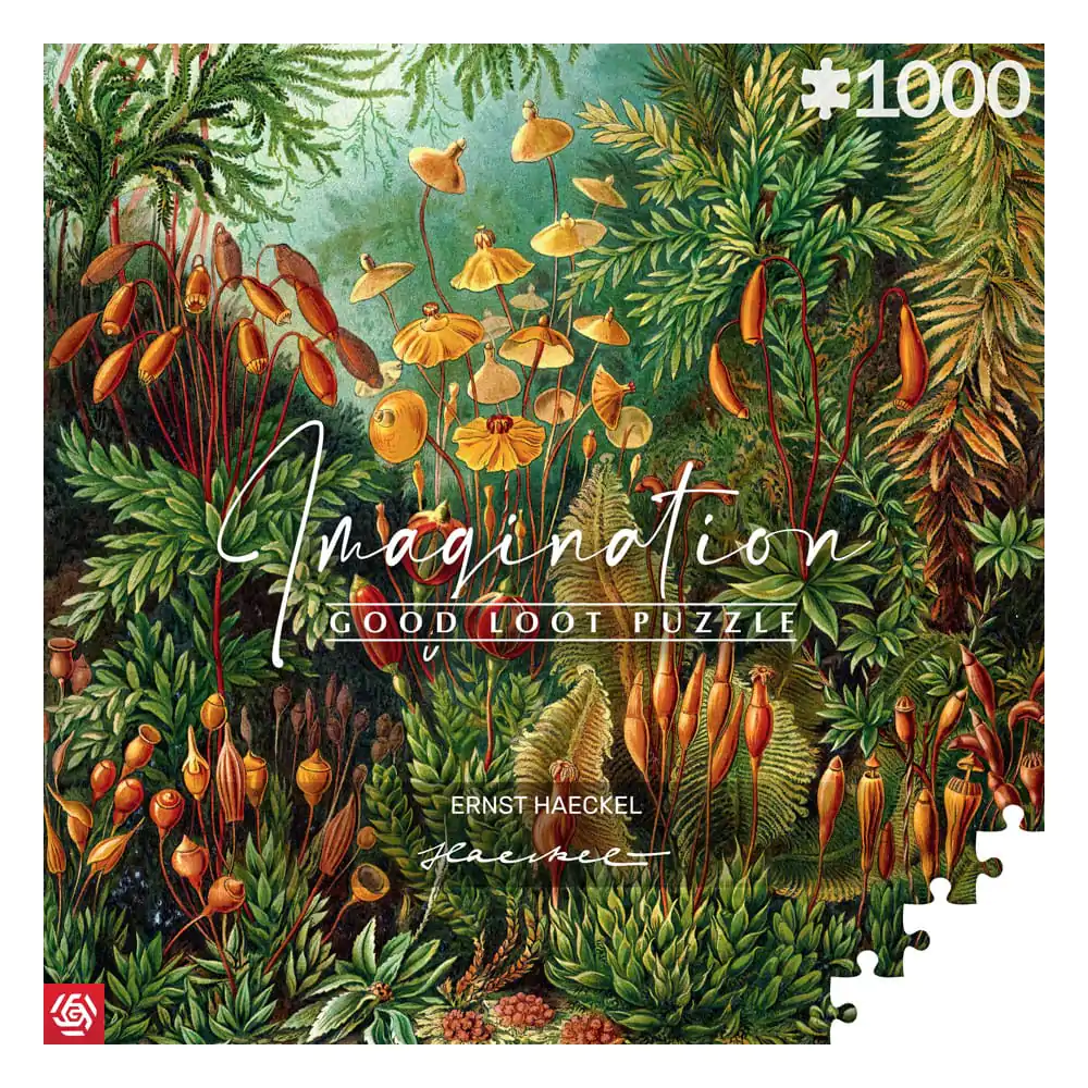 Ernst Haeckel Imagination Puzzle Muscinae (1000 kusov) termékfotó