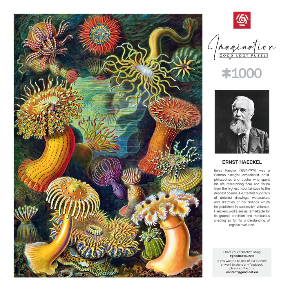 Ernst Haeckel Imagination Puzzle Sea Anemones/Stworzenia morskie (1000 kusov) termékfotó