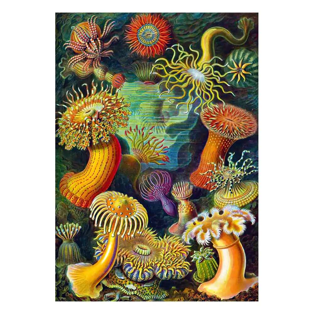 Ernst Haeckel Imagination Puzzle Sea Anemones/Stworzenia morskie (1000 kusov) termékfotó