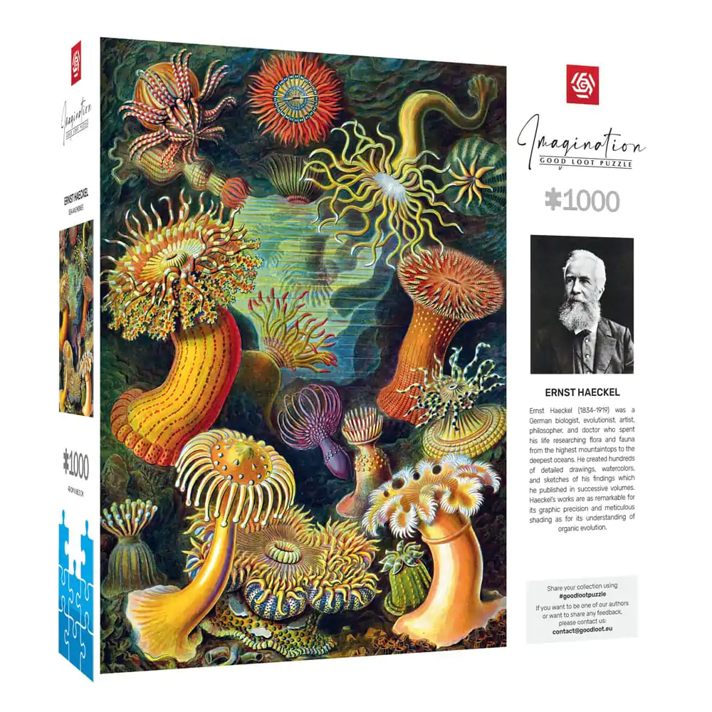 Ernst Haeckel Imagination Puzzle Sea Anemones/Stworzenia morskie (1000 kusov) termékfotó